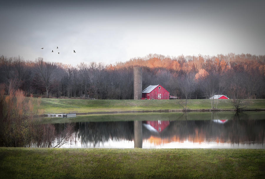 Farm Reflections  Photograph by Mary Lynn Giacomini