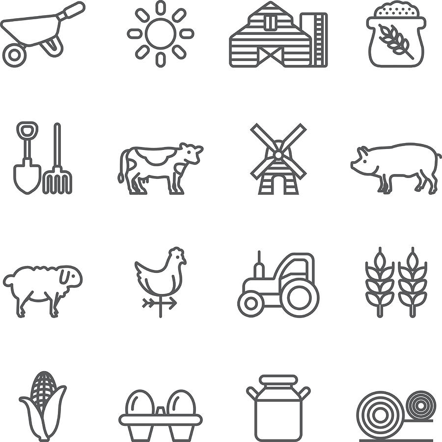 Farm Rice Agriculture Livestock Line icons | EPS10 Drawing by LueratSatichob