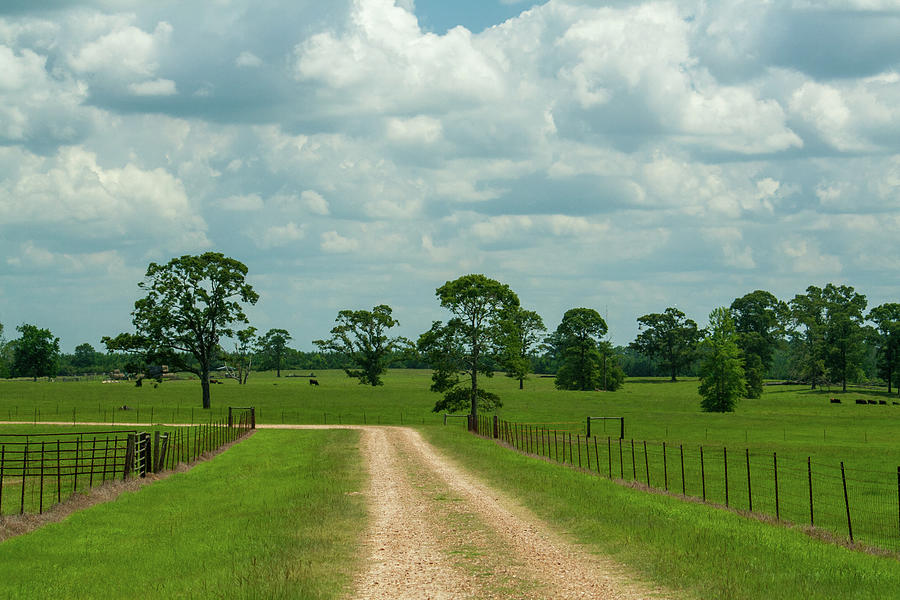 Farm Road Photograph