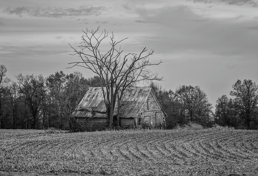 Farm Shed Black and White 2023 Photograph by Thomas Young