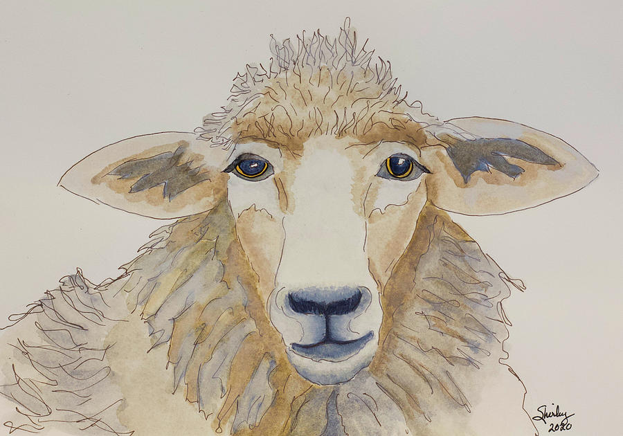 Farm Sheep Painting by Shirley Dutchkowski