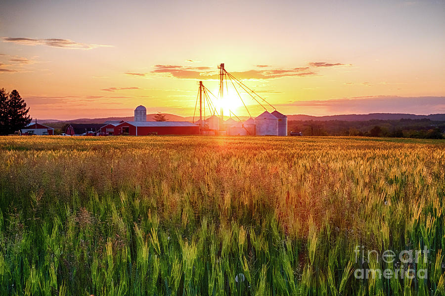 Farm With Grain Silos, Hunterdon County, New Jersey Photograph