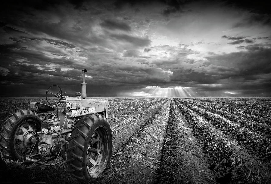 Farmall Tractor with Field Furrows and Sunburst Sky in Black and Photograph by Randall Nyhof