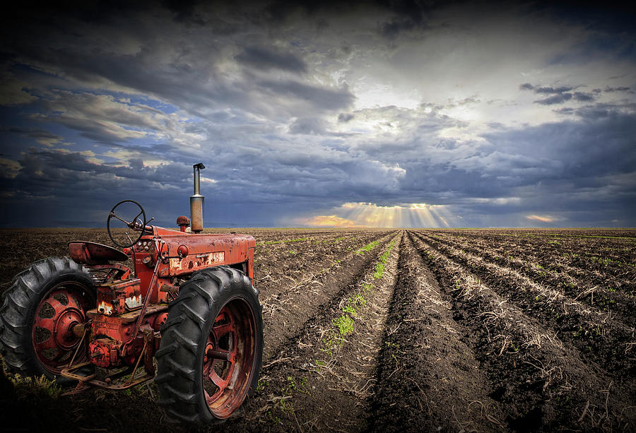 Farmall Tractor with Field Furrows and Sunburst Sky Photograph by Randall Nyhof