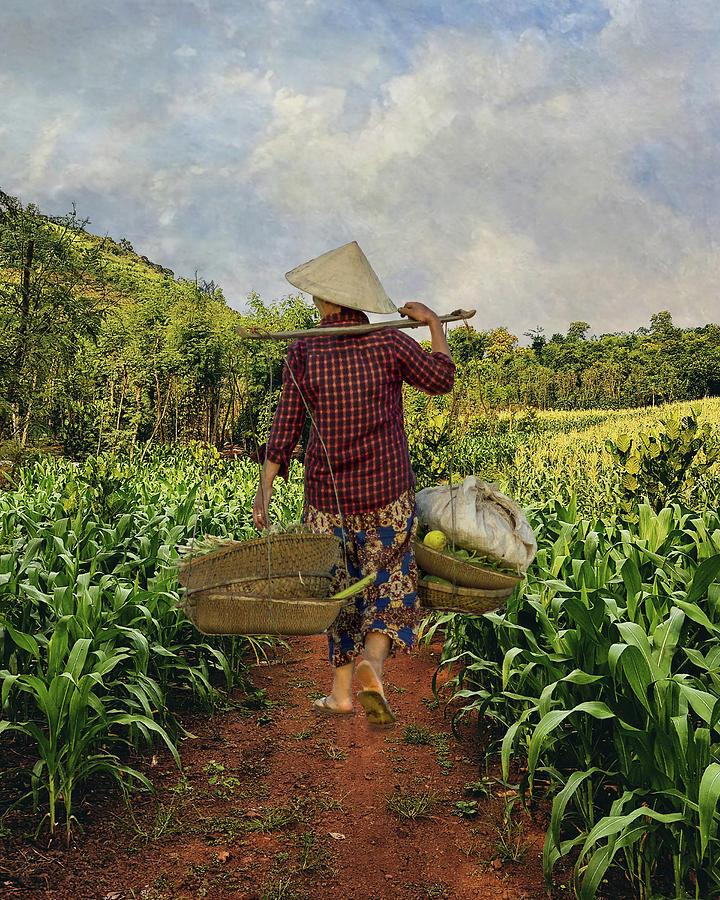 Farmer of Hoi An Digital Art by M Spadecaller