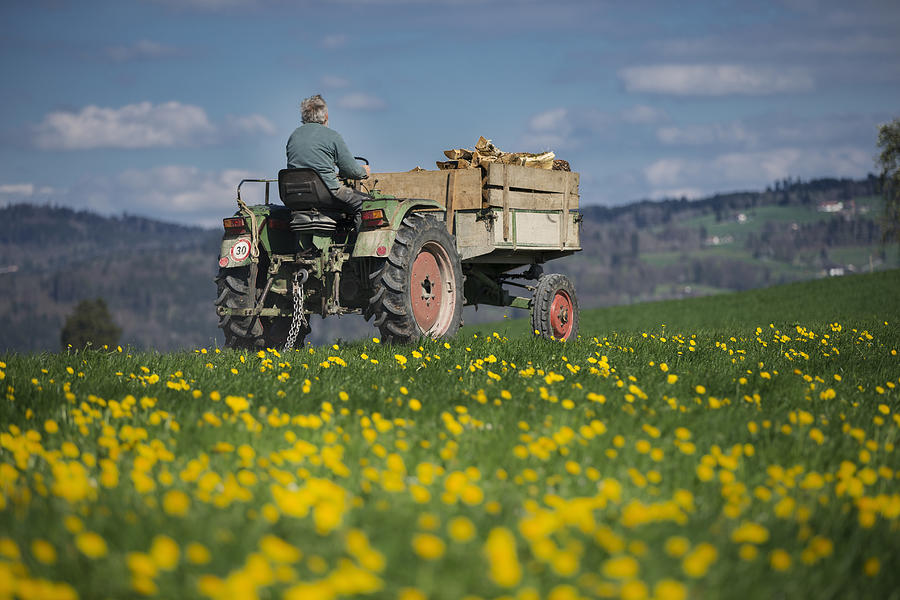 Farmer on tractor with firewood Photograph by Brigitte Blättler