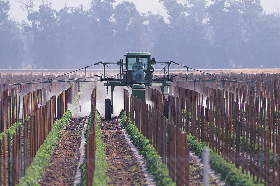 Farmer spraying crops Photograph by Digital Vision.