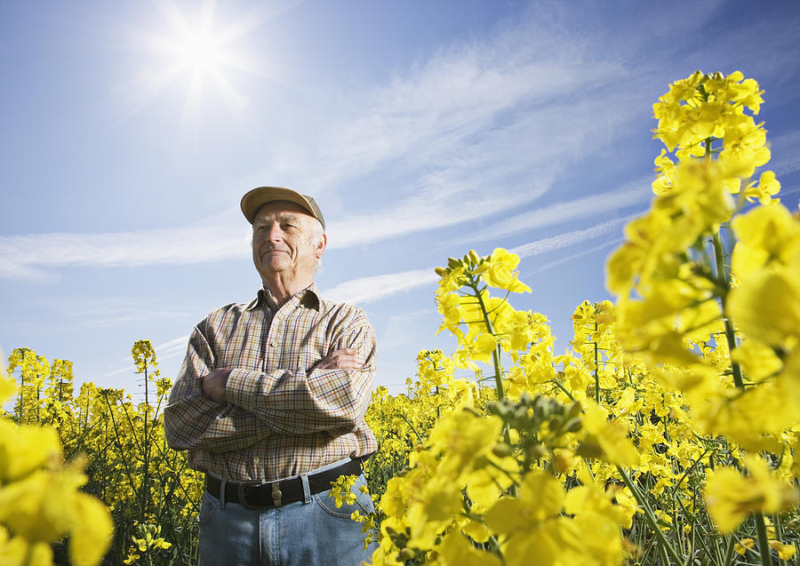 Farmer standing in field of flowers Photograph by Anthony Lee