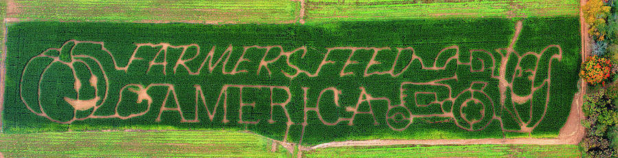 Halloween Photograph - Farmers Feed America Corn Maze by Jerry Fornarotto