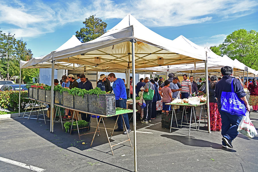 Farmers Market - Cupertino, CA Photograph by Amazing Action Photo Video
