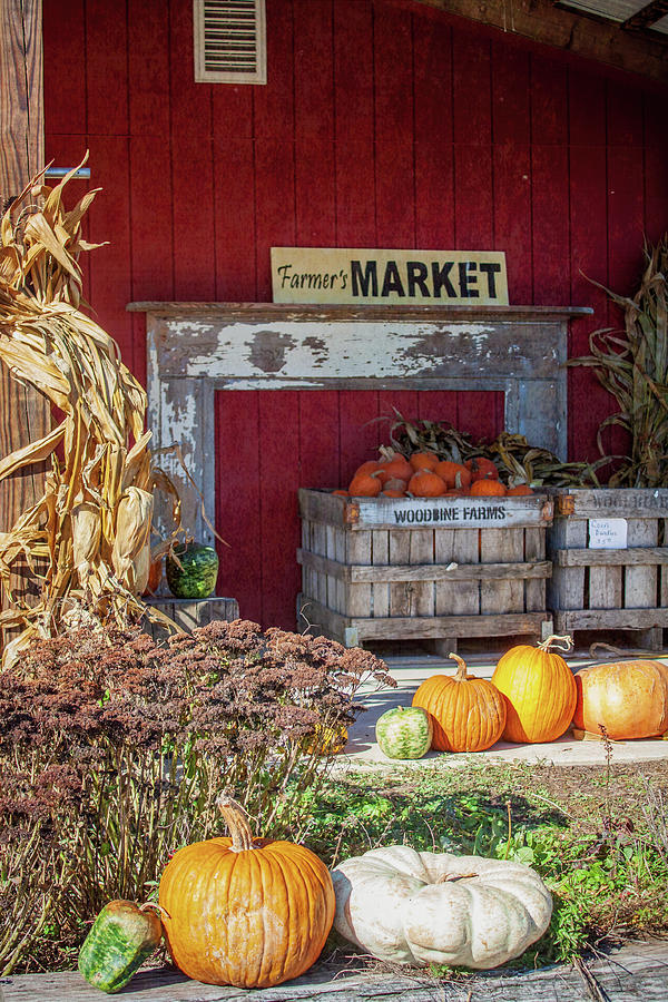 Farmer's Market Photograph by David Beard | Fine Art America