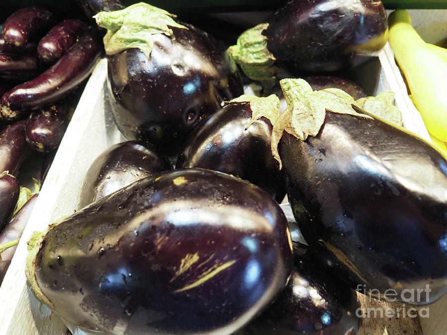 Farmers Market Eggplant Photograph by Ginger Repke
