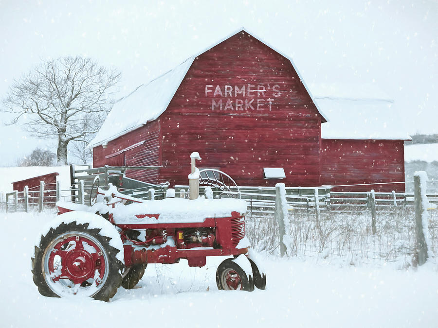 Farmers Market in Winter Mixed Media by Lori Deiter