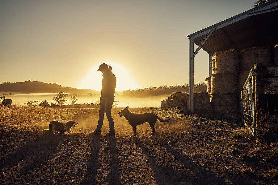 Farmers rise with the sun Photograph by Pixdeluxe