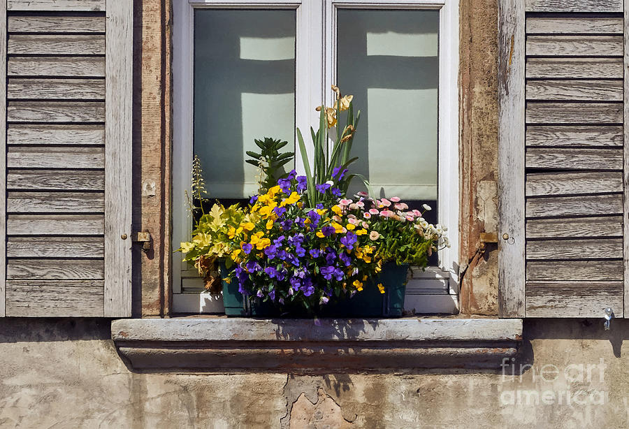 Farmhouse Window Flower Box Mixed Media by Sandi OReilly