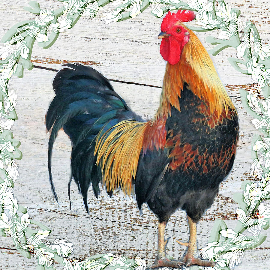 Farmhouse Country Rooster In Square Diann Fisher 