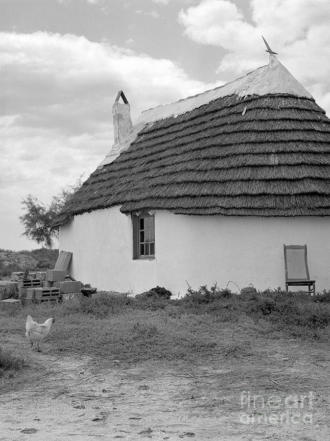 Farmhouse or cottage in Camargue, France, 1950s  Photograph by French School