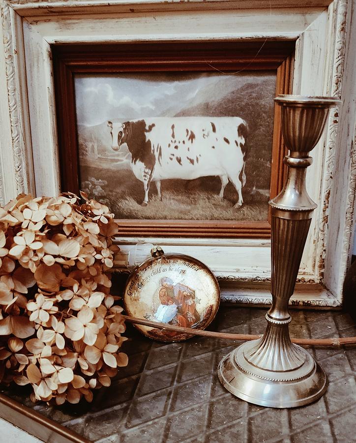 Farmhouse Cow Still Life Photograph by Suzanne Powers