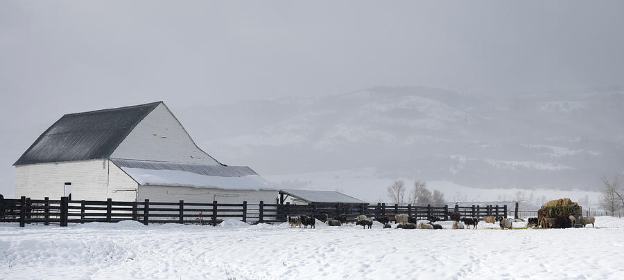 Farmhouse Winter Photograph by JoAnn Silva