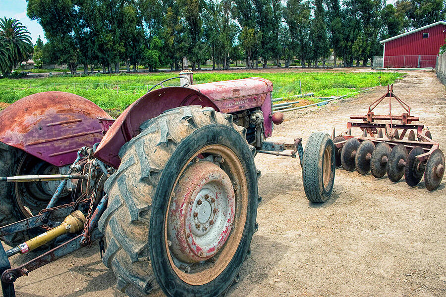 Tractor Photograph - Farming Ferguson by William Havle