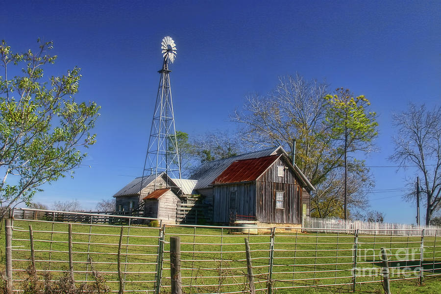 Farming in Texas Photograph by Joan Bertucci