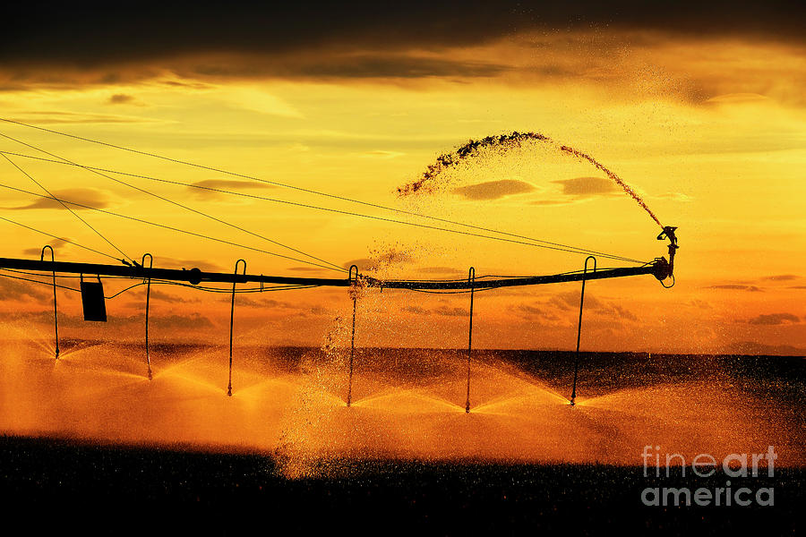 Farming Sprinklers in Field Irrigation and Watering of Crops Piv Photograph by Lane Erickson
