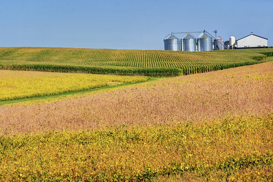 Farmland Geometry - Rural Midwest Photograph by Nikolyn McDonald