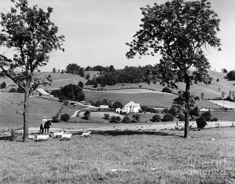 Farmland in Russell County, Virginia c1957 Photograph by Granger
