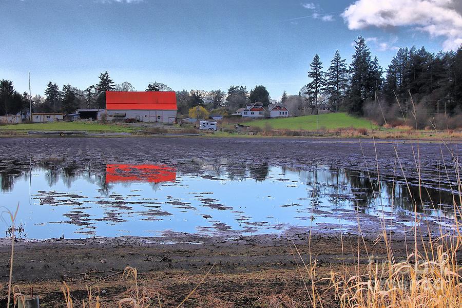 Farmland Reflections Photograph by Kimberly Furey