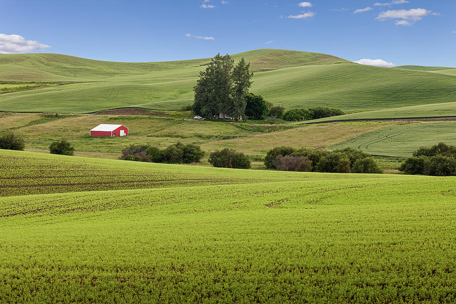 Farmlands Photograph by Manpreet Sokhi