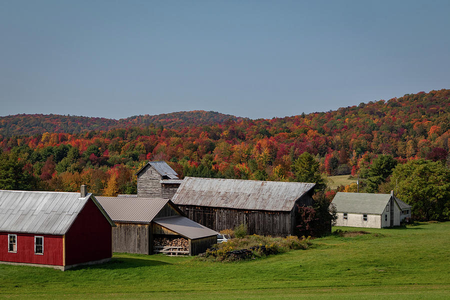 Farmstead Fall Foliage Photograph By Andrew Deering