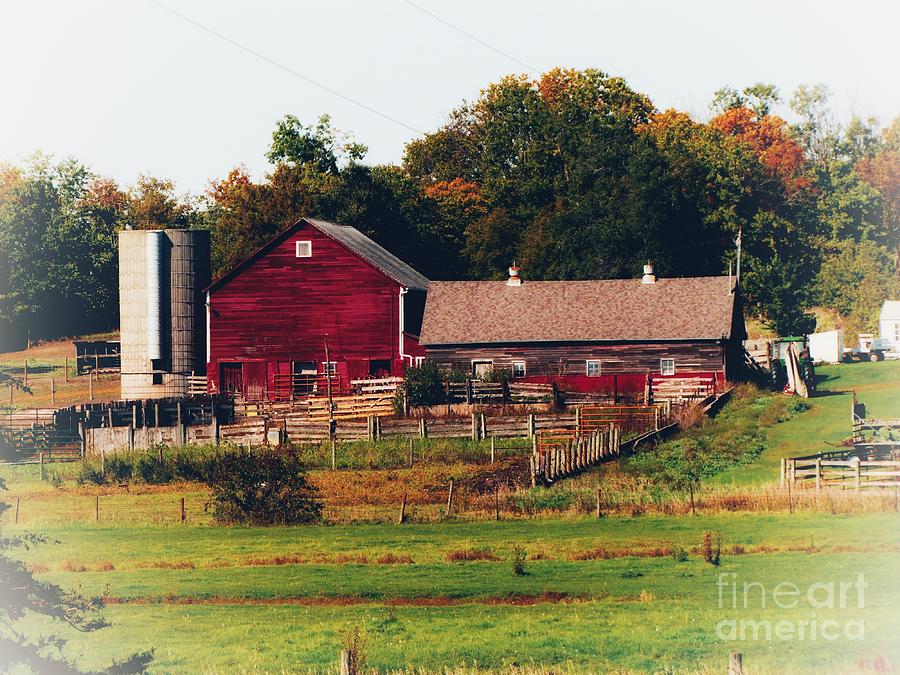 Farmstead Photograph by Laurie Wilcox