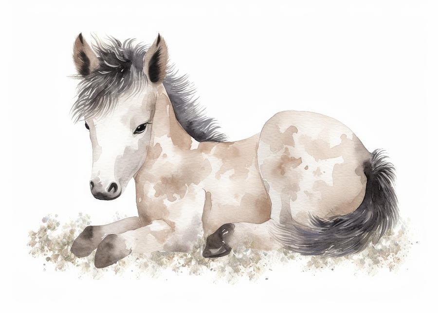 Horse Photograph - Farmyard Baby Horse Foal Watercolor Illustration by Good Focused