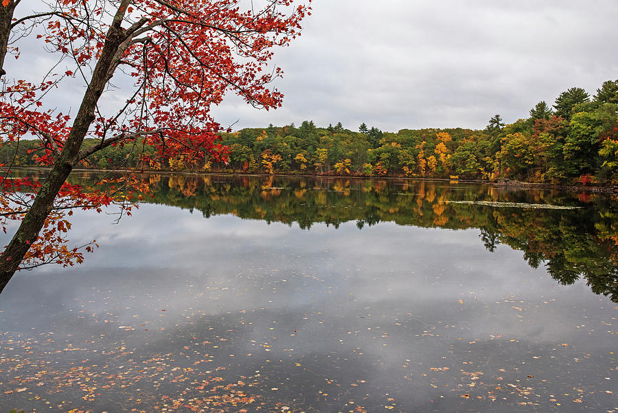 Farrar Pond in Lincoln Massachusetts Fall Foliage Autumn Reflection Photograph by Toby McGuire