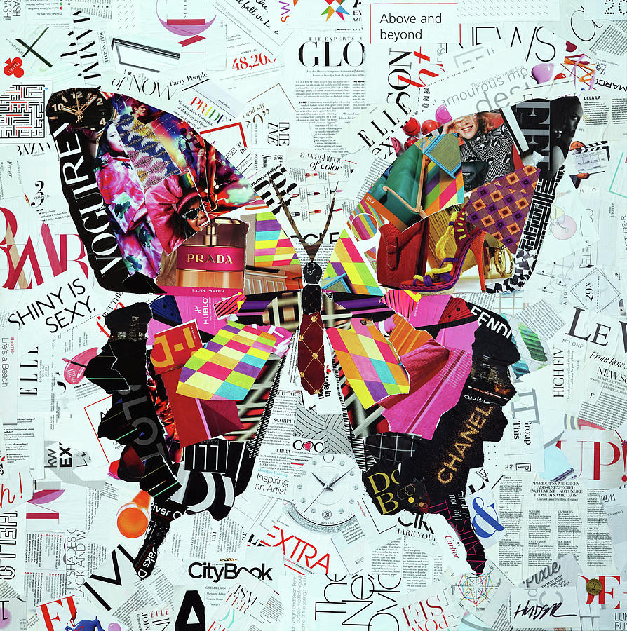 Fashionable Butterfly Mixed Media by James Hudek