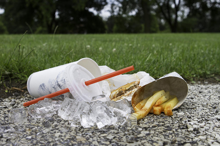 Fast food litter at park Photograph by Burlingham