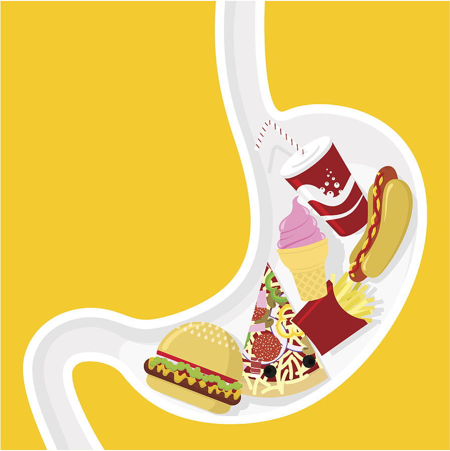 Fast food pizza hamburger hotdog soda  obesity illustration vector Drawing by Myillo