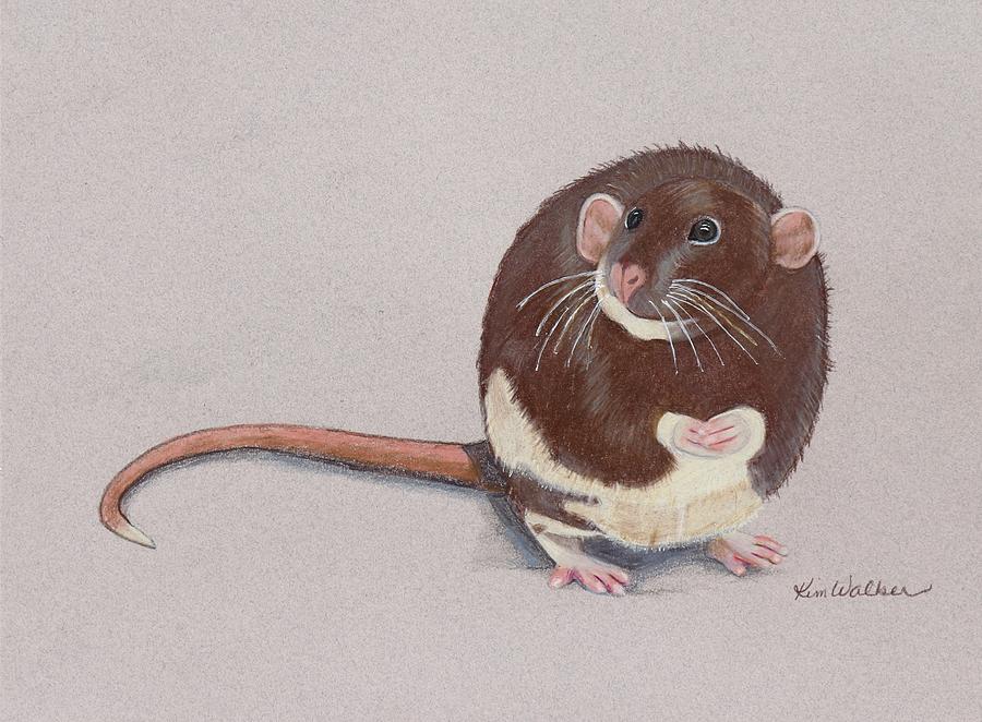 Fat Cat Rat Drawing Drawing by Kimberly Walker