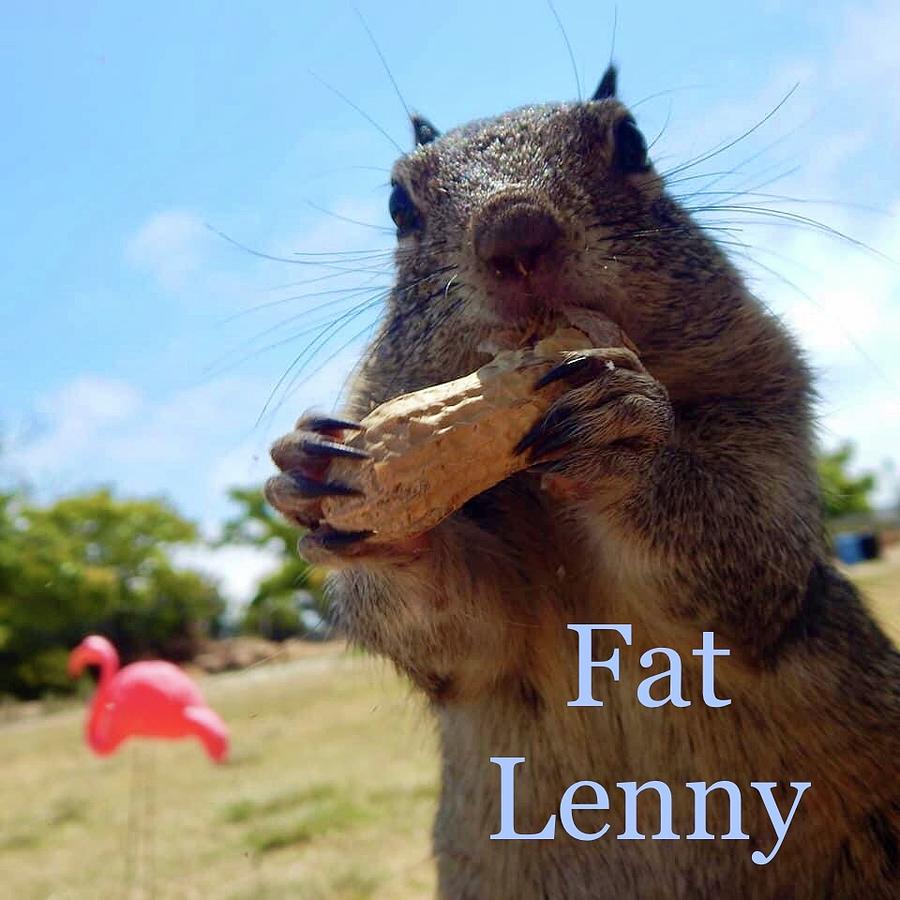 Squirrel Photograph - Fat Lenny by Renee Tay