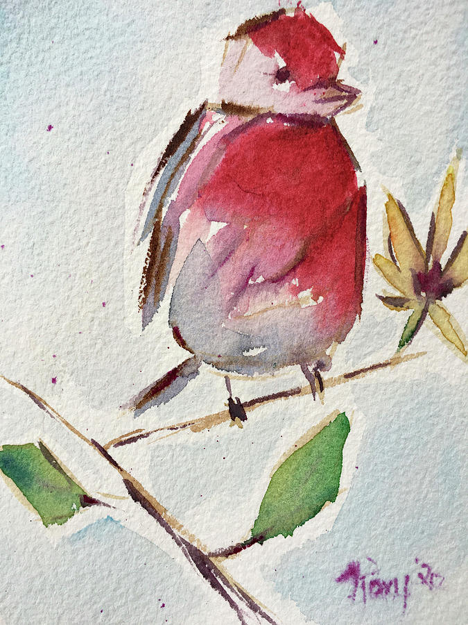 Fat little Finch Painting by Roxy Rich