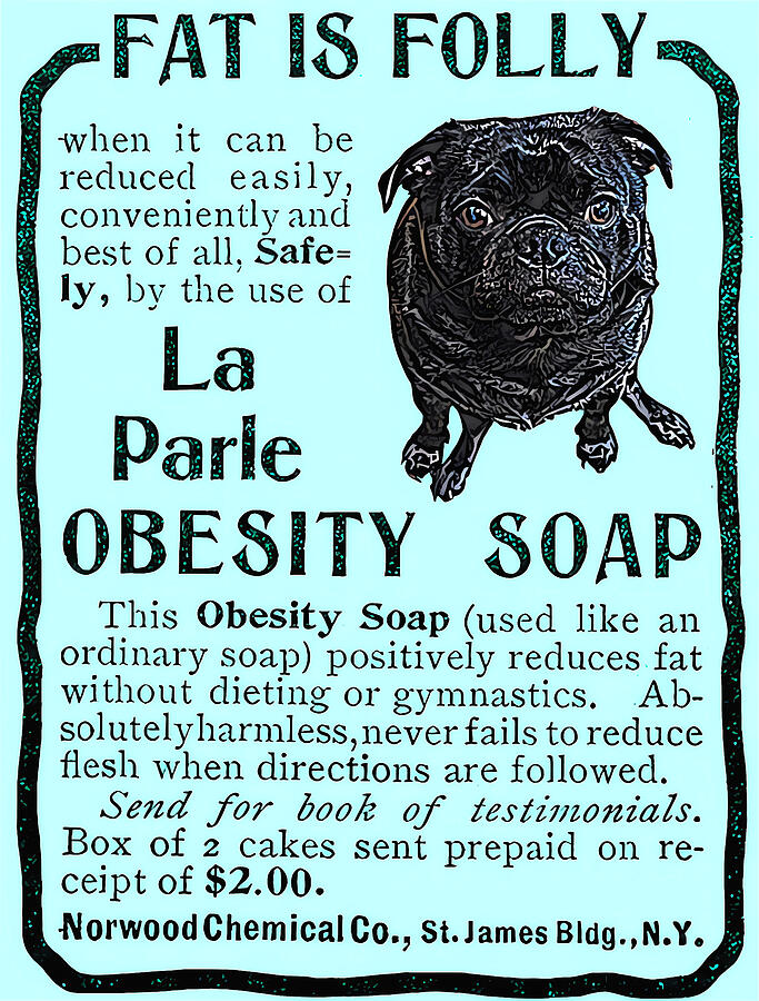 Vintage Digital Art - Fat Pug Bathroom by Aimee Not Sweet Tea