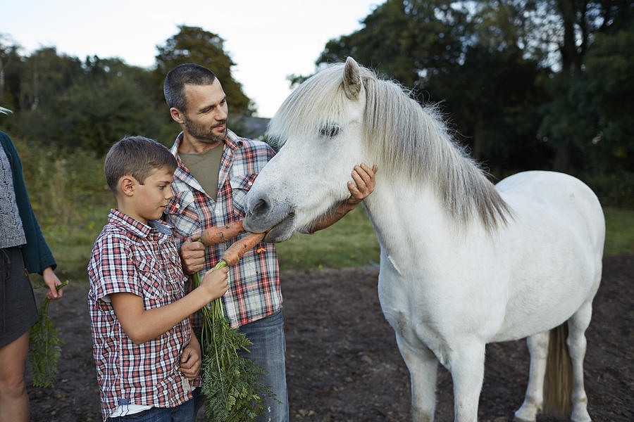 Father & son feeding horse with carrots Photograph by Klaus Vedfelt