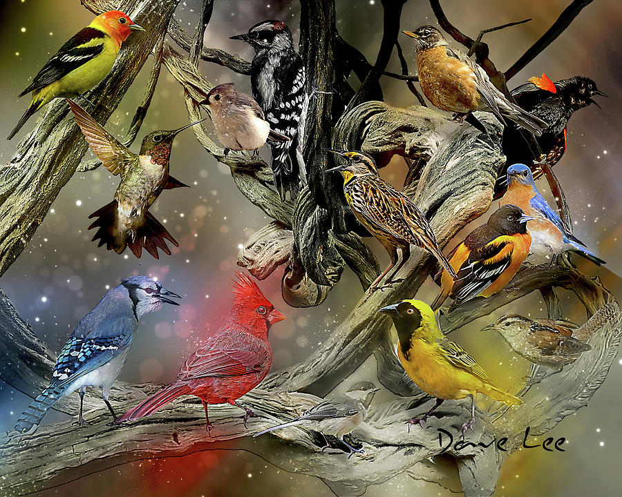 Favorite Birds of North America Digital Art by Dave Lee