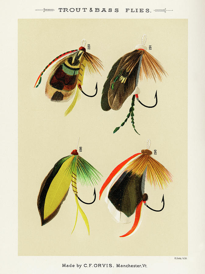 Bass Flies - Antique Reproduction - Fly Fishing - Fishing Flies - Mary  Orvis Marbury - Available Framed