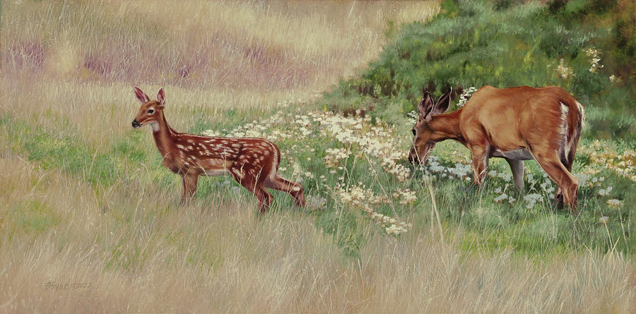 Bison Painting - Fawn and Doe by Bill Finewood