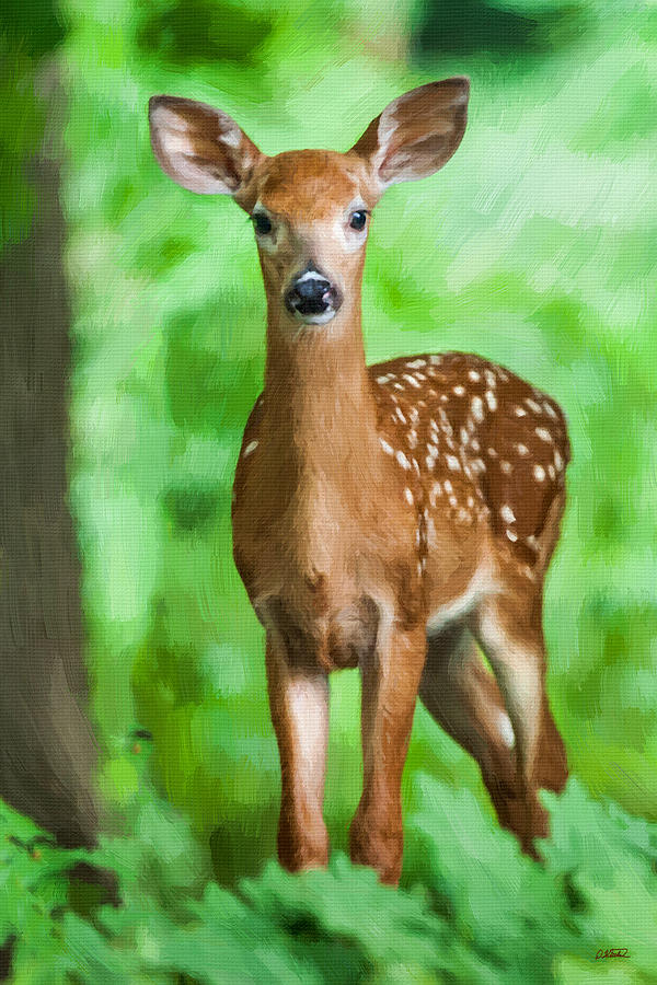Fawn by Tree - DWP1367217 Painting by Dean Wittle