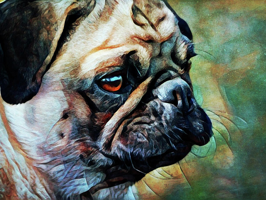 Fawn Pug Fascination Painting by Ashley Aldridge