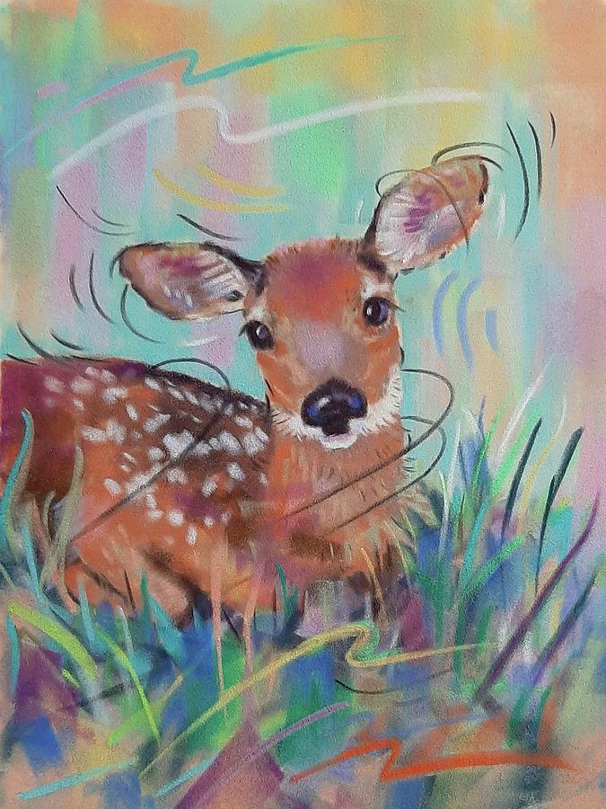 Fawn Pastel by Vicki Danielson - Fine Art America