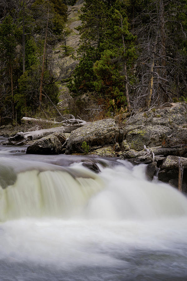 Fayette Creek Wyoming Photograph by Julieta Belmont