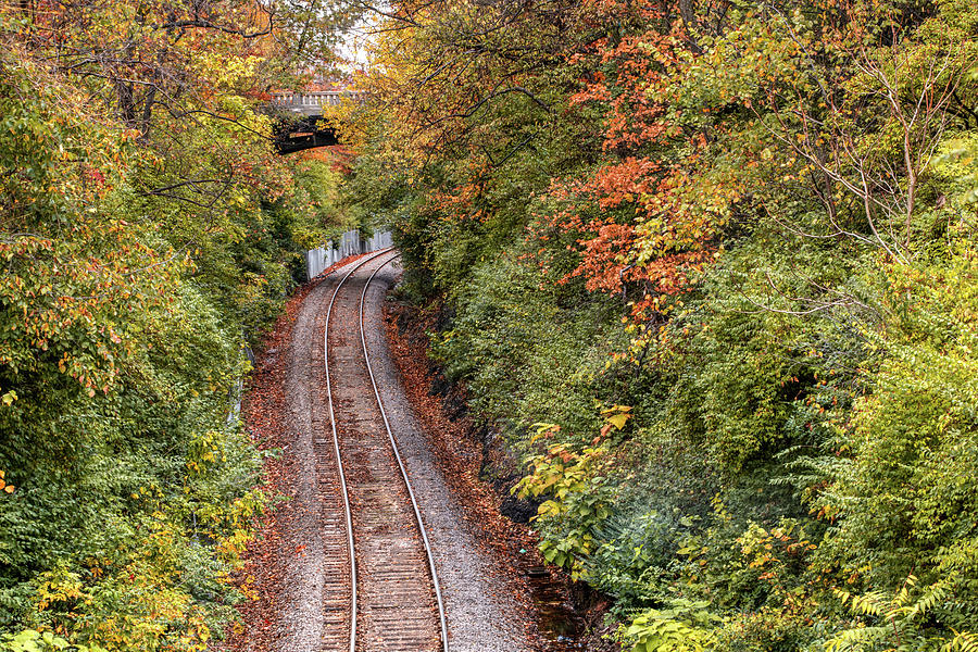 Fayetteville Arkansas And Missouri Railroad in Autumn Photograph by Gregory Ballos
